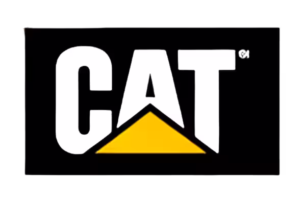 cat-1